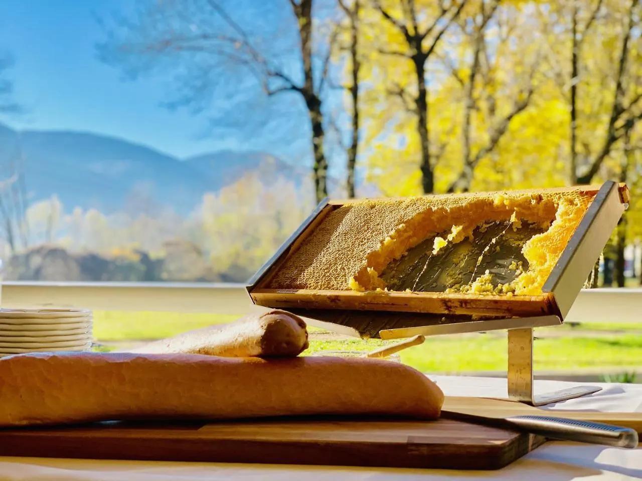 Hotel Brescia Boario Terme